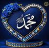 الصورة الرمزية محمد احمد محمد هدهود