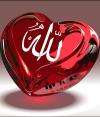 الصورة الرمزية المصرى سات